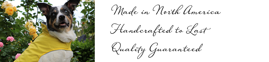 wholesale-corp.png wholesale-corp.png